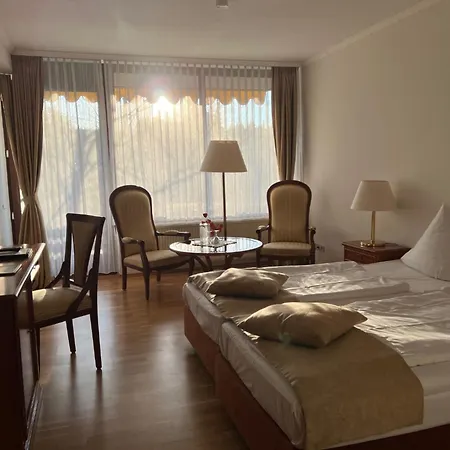 Отель Parkhotel Maasberg Бад-Зобернхайм