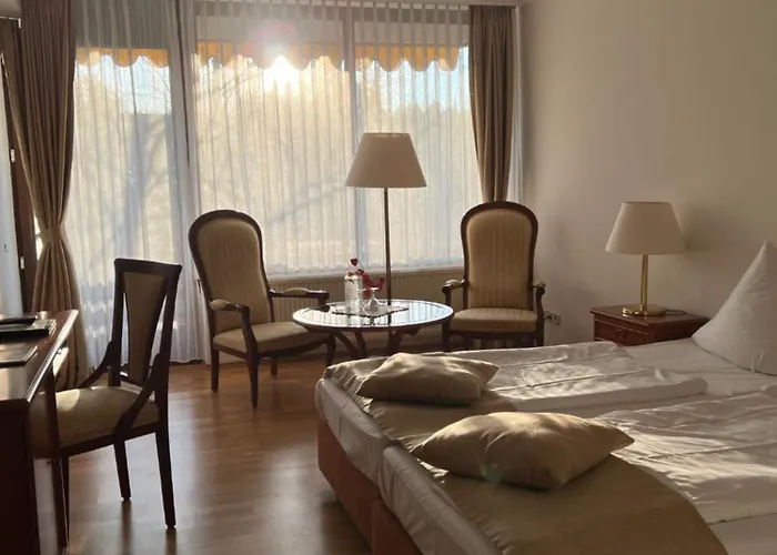 酒店 Parkhotel Maasberg Gmbh 巴特索伯恩海姆